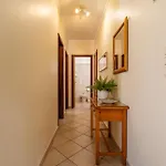 Ténis Mar E Albufeira